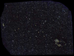 Abee Meteorite Thin Section