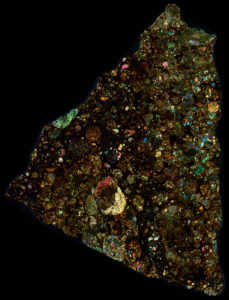 NWA 10214 Meteorite Thin Section