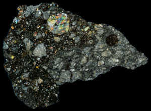 NWA 10203 Meteorite Thin Section