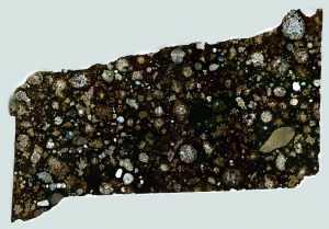 NWA 2224 Meteorite Thin Section