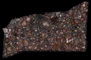 NWA 2224 Meteorite Surface